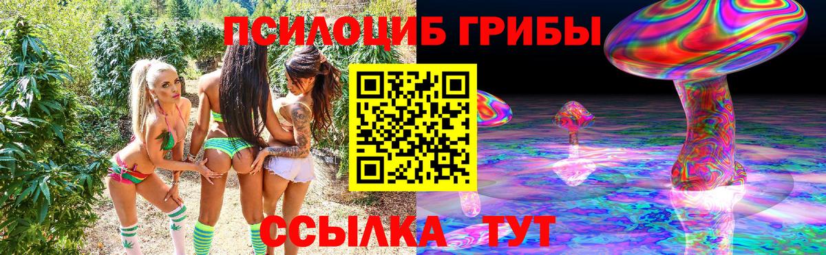 Псилоцибиновые грибы ЛСД Тихорецк