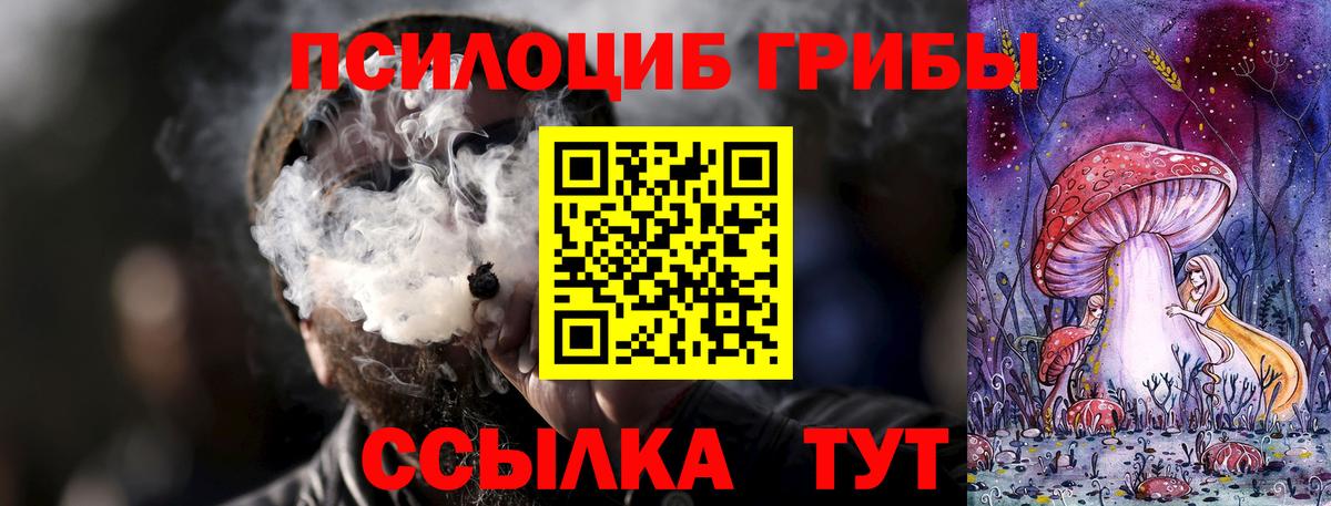 сколько стоит  Галлюциногенные грибы Psilocybine cubensis  Вход с VPN  Тихорецк 